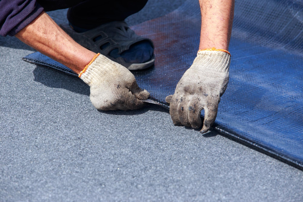 House Painting Services Cape Town